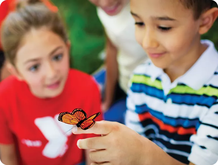 boy holding butterfly